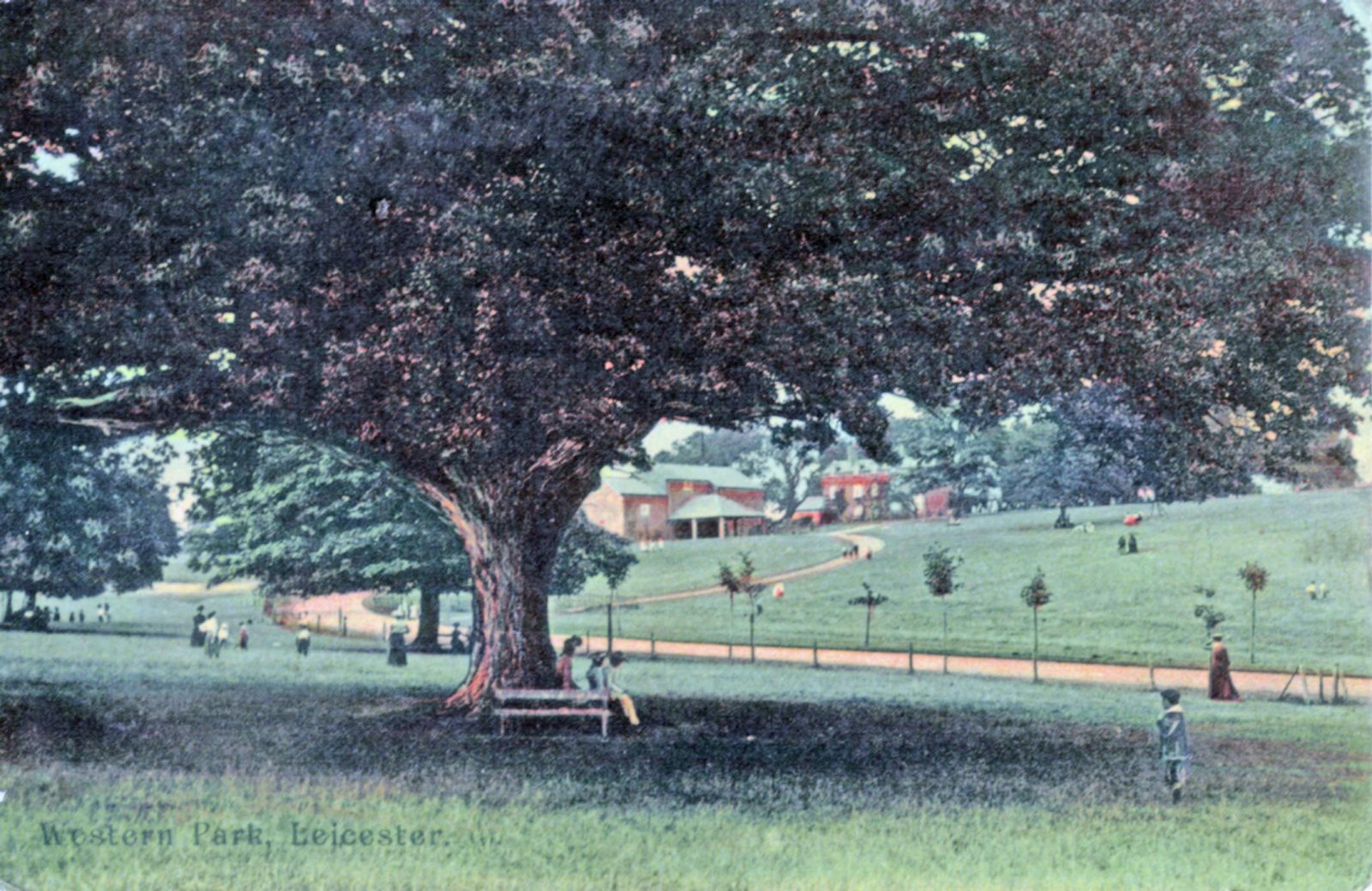 Western Park, Leicester. 1901-1920: Western Park with Hall in background. Posted 1904-10 (File:1226)