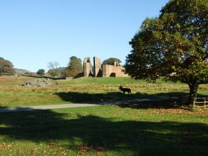 Bradgate Park - Leicestershire and Rutland Gardens Trust