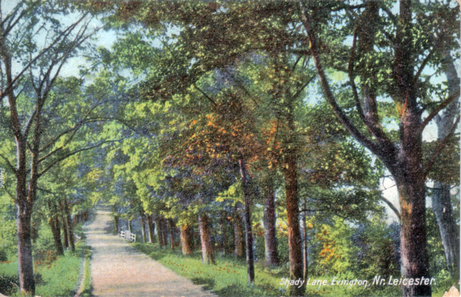 Shady Lane Arboretum Leicestershire and Rutland Gardens Trust